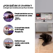 Porque Monitor LG UltraWide 29" WFHD 100Hz